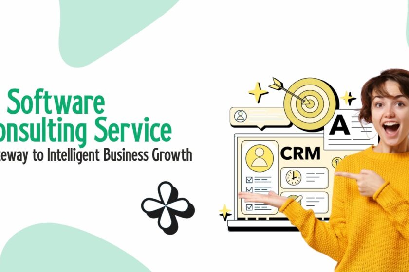 AI Software Consulting Service